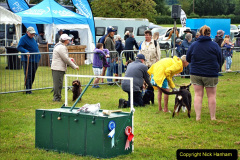 227.2024-06-08-The-Gillingham-Shaftesbury-late-Spring-Show-Shaftesbury-Dorset.-227-