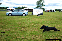 228.2024-06-08-The-Gillingham-Shaftesbury-late-Spring-Show-Shaftesbury-Dorset.-228-