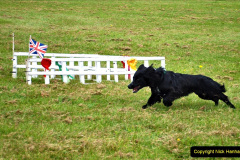 229.2024-06-08-The-Gillingham-Shaftesbury-late-Spring-Show-Shaftesbury-Dorset.-229-