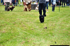 235.2024-06-08-The-Gillingham-Shaftesbury-late-Spring-Show-Shaftesbury-Dorset.-235-