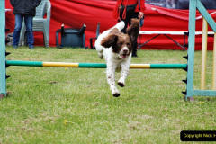 238.2024-06-08-The-Gillingham-Shaftesbury-late-Spring-Show-Shaftesbury-Dorset.-238-