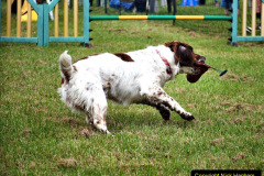 239.2024-06-08-The-Gillingham-Shaftesbury-late-Spring-Show-Shaftesbury-Dorset.-239-