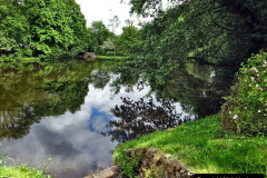 016.2024-06-10-A-view-of-Fontmell-Down-part-of-Blackmoor-Vale-Dorset.-16-