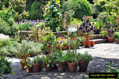 019.2024-06-10-The-Courts-Garden-NT-near-Bradford-on-Avon-Wiltshire.-19-