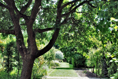 037.2024-06-10-The-Courts-Garden-NT-near-Bradford-on-Avon-Wiltshire.-37-