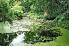 069.2024-06-10-The-Courts-Garden-NT-near-Bradford-on-Avon-Wiltshire.-69-