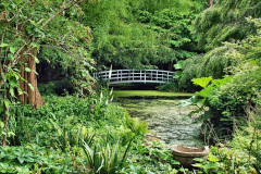 073.2024-06-10-The-Courts-Garden-NT-near-Bradford-on-Avon-Wiltshire.-73-