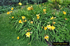 084.2024-06-10-The-Courts-Garden-NT-near-Bradford-on-Avon-Wiltshire.-84-