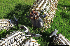 025.2024-06-19-Widbrook-Grange-Bradford-on-Avon-Wiltshire.-25-