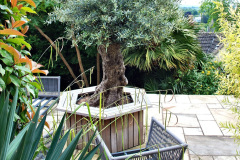 059.2024-06-12-Touring-Bradford-on-Avon-Wiltshire.-59-