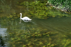 098.2024-06-12-Touring-Bradford-on-Avon-Wiltshire.-98-