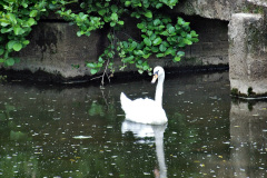 188.2024-06-12-Touring-Bradford-on-Avon-Wiltshire.-188-
