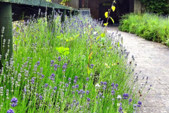 219.2024-06-12-Touring-Bradford-on-Avon-Wiltshire.-219-