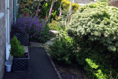004.2024-05-25-A-Poole-garden-in-late-Spring.-4-