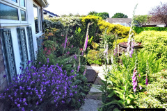 005.2024-05-25-A-Poole-garden-in-late-Spring.-5-