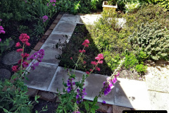 012.2024-05-25-A-Poole-garden-in-late-Spring.-12-