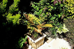 014.2024-05-25-A-Poole-garden-in-late-Spring.-14-