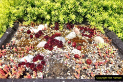 020.2024-05-25-A-Poole-garden-in-late-Spring.-20-