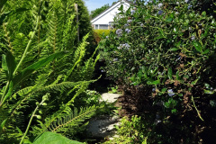 022.2024-05-25-A-Poole-garden-in-late-Spring.-22-