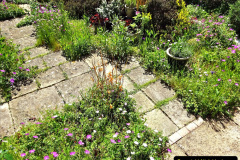 026.2024-05-25-A-Poole-garden-in-late-Spring.-26-