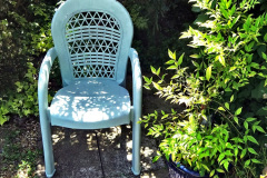 042.2024-05-25-A-Poole-garden-in-late-Spring.-42-
