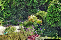 076.2024-05-25-A-Poole-garden-in-late-Spring.-76-