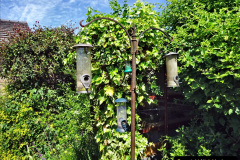 088.2024-05-25-A-Poole-garden-in-late-Spring.-88-
