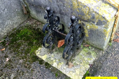 077.2024-11-08-Kingston-Lacy-NT-in-Late-Autumn.-77-