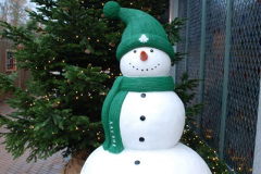 064.2024-11-30-Bournemouth-LIDL-Freeway-Truck-and-Xmas.-64-