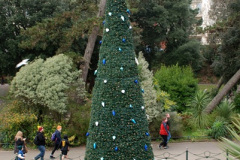090.2024-11-30-Bournemouth-LIDL-Freeway-Truck-and-Xmas.-90-