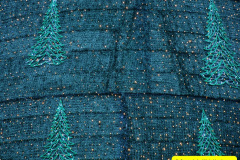 103.2024-11-30-Bournemouth-LIDL-Freeway-Truck-and-Xmas.-103-