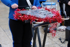 110.2024-11-30-Bournemouth-LIDL-Freeway-Truck-and-Xmas.-110-