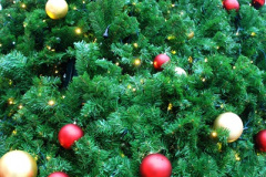 111.2024-11-30-Bournemouth-LIDL-Freeway-Truck-and-Xmas.-111-