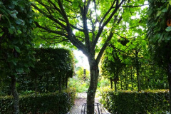 023.2024-10-14-Holme-Garden-Center-Near-Wareham.-Dorset.-23-