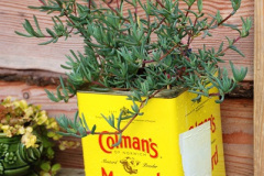 058.2024-10-14-Holme-Garden-Center-Near-Wareham.-Dorset.-58-