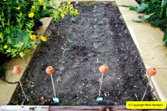 065.2024-10-14-Holme-Garden-Center-Near-Wareham.-Dorset.-65-