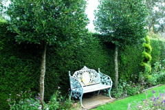 081.2024-10-14-Holme-Garden-Center-Near-Wareham.-Dorset.-81-