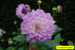 087.2024-10-14-Holme-Garden-Center-Near-Wareham.-Dorset.-87-