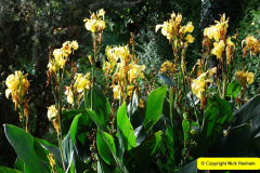 092.2024-10-14-Holme-Garden-Center-Near-Wareham.-Dorset.-92-