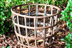 096.2024-10-14-Holme-Garden-Center-Near-Wareham.-Dorset.-96-