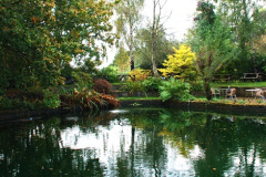 102.2024-10-14-Holme-Garden-Center-Near-Wareham.-Dorset.-102-