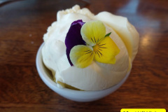 027.2024-10-21-To-Bournemouth-for-Afternoon-Tea.-27-