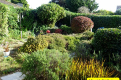 015.2024-10-27-A-Poole-Garden-in-Late-Autumn.-15-
