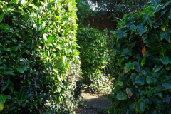 040.2024-10-27-A-Poole-Garden-in-Late-Autumn.-40-