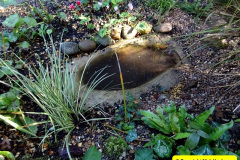 045.2024-10-27-A-Poole-Garden-in-Late-Autumn.-45-