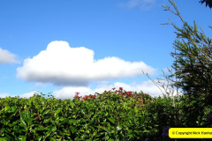 056.2024-10-27-A-Poole-Garden-in-Late-Autumn.-56-