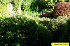 068.2024-10-27-A-Poole-Garden-in-Late-Autumn.-68-
