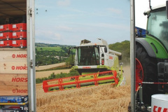 044.2024-09-07-Dorset-County-Show-Dorchester-Dorset.-44-