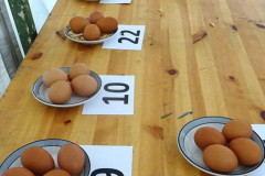 123.2024-09-07-Dorset-County-Show-Dorchester-Dorset.-123-