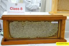 172.2024-09-07-Dorset-County-Show-Dorchester-Dorset.-172-